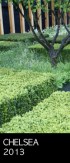 chelsea 2013