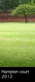 hampton 2012